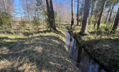 Venta Parcela Villarrica en sector Los Guindos