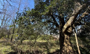 Venta Parcela Villarrica en sector Los Guindos