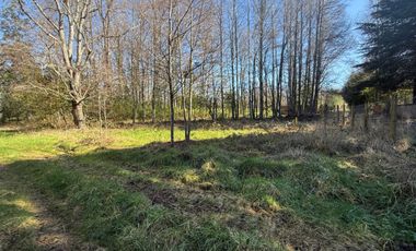 Venta Parcela Villarrica en sector Los Guindos