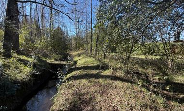 Venta Parcela Villarrica en sector Los Guindos