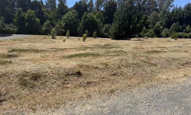 Parcela En Venta En Pucón Condominio Canto Del Estero