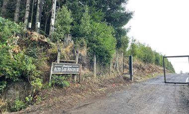 Parcela En Venta En Pucón SECTOR ALTO LOS RISCOS