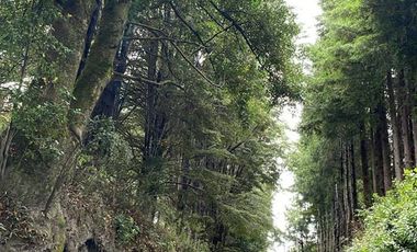 Parcela En Venta En Pucón SECTOR ALTO LOS RISCOS