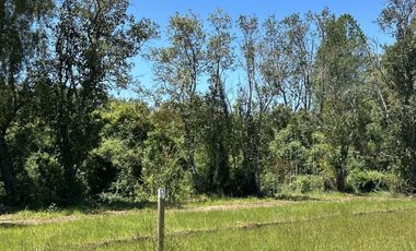 Parcela En Venta Cercanas A Villarrica