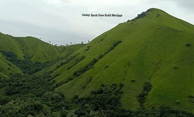 Tanah di Labuan Bajo View Laut dan Lembah