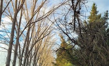 Parcela en Venta en H-20