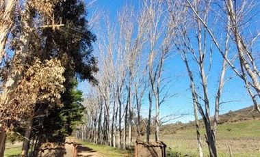 Parcela en Venta en H-20