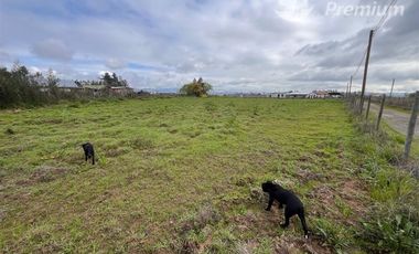 Parcela en Venta en lo patricio pelarco