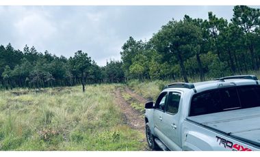 TERRENO EN VENTA  19 HECTAREAS EN TULANCINGO