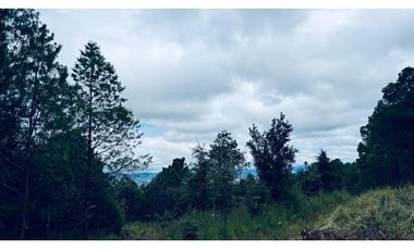 TERRENO EN VENTA  19 HECTAREAS EN TULANCINGO