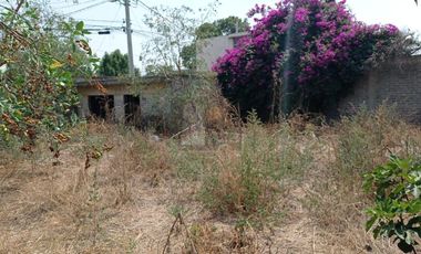 Terreno habitacional en renta en San Miguel Tocuila, Texcoco, México