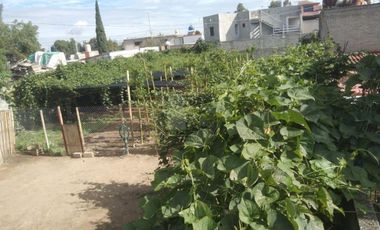 Terreno habitacional en renta en San Miguel Tocuila, Texcoco, México