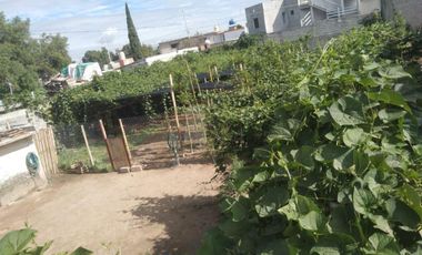 Terreno habitacional en renta en San Miguel Tocuila, Texcoco, México