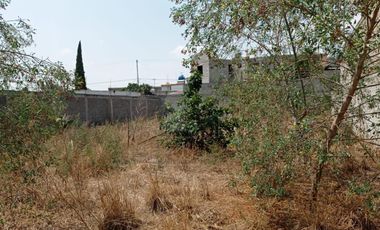 Terreno habitacional en renta en San Miguel Tocuila, Texcoco, México