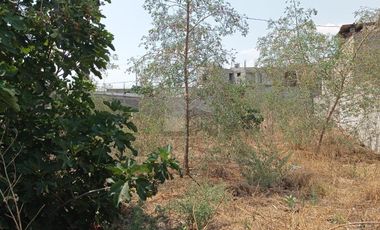 Terreno habitacional en renta en San Miguel Tocuila, Texcoco, México