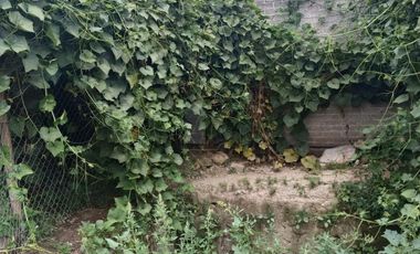 Terreno habitacional en renta en San Miguel Tocuila, Texcoco, México