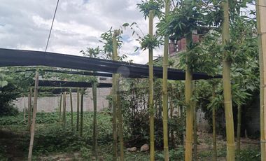 Terreno habitacional en renta en San Miguel Tocuila, Texcoco, México