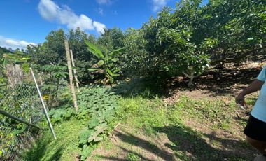 CASA CAMPESTRE EN VENTA EN ALCALA / ARMENIA
