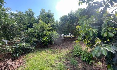 CASA CAMPESTRE EN VENTA EN ALCALA / ARMENIA