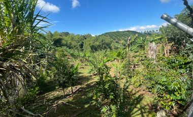 CASA CAMPESTRE EN VENTA EN ALCALA / ARMENIA