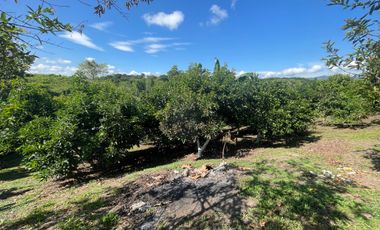 CASA CAMPESTRE EN VENTA EN ALCALA / ARMENIA
