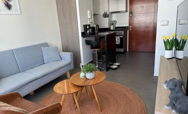 UNIVERSIDAD  DE CONCEPCION