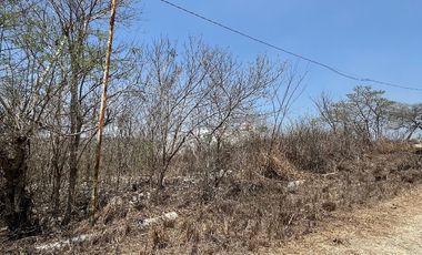 TERRENO EN VENTA  EN VILLA FLORENCIA