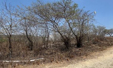 TERRENO EN VENTA  EN VILLA FLORENCIA