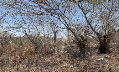 TERRENO EN VENTA  EN VILLA FLORENCIA