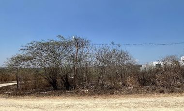 TERRENO EN VENTA  EN VILLA FLORENCIA