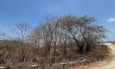 TERRENO EN VENTA  EN VILLA FLORENCIA