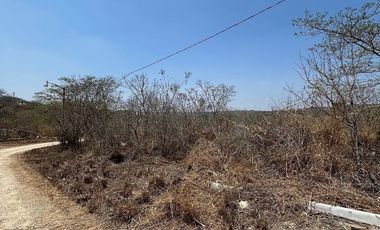 TERRENO EN VENTA  EN VILLA FLORENCIA