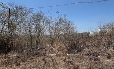 TERRENO EN VENTA  EN VILLA FLORENCIA