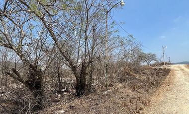 TERRENO EN VENTA  EN VILLA FLORENCIA