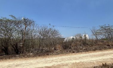 TERRENO EN VENTA  EN VILLA FLORENCIA