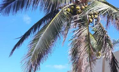 Residencia Frente al Mar en Chelem, Yucatán