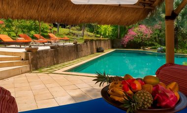 dijual villa mewah dengan pemandangan sungai cepaka lokasi tabanan