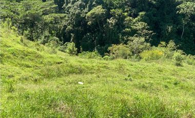 VENTA FINCA, AMAGA SUROESTE ANTIOQUEÑO