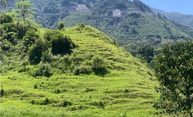 VENTA FINCA, AMAGA SUROESTE ANTIOQUEÑO