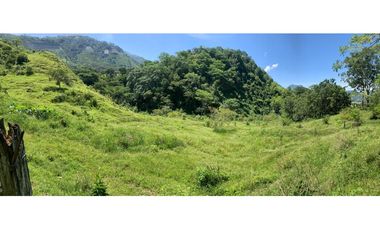 VENTA FINCA, AMAGA SUROESTE ANTIOQUEÑO