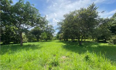 NUEVA GORGONA / AMPLIO UN TERRENO / VIA PRINCIPAL / 2007M2 / YH