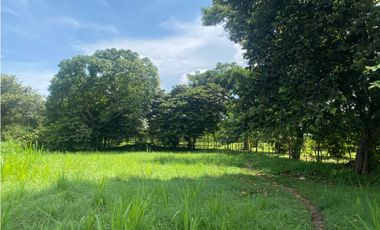 NUEVA GORGONA / AMPLIO UN TERRENO / VIA PRINCIPAL / 2007M2 / YH