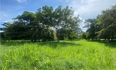 NUEVA GORGONA / AMPLIO UN TERRENO / VIA PRINCIPAL / 2007M2 / YH