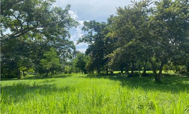 NUEVA GORGONA / AMPLIO UN TERRENO / VIA PRINCIPAL / 2007M2 / YH