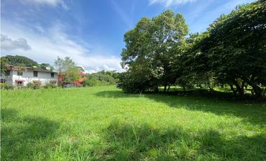 NUEVA GORGONA / AMPLIO UN TERRENO / VIA PRINCIPAL / 2007M2 / YH