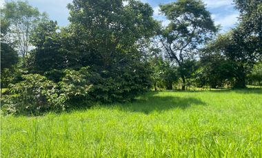 NUEVA GORGONA / AMPLIO UN TERRENO / VIA PRINCIPAL / 2007M2 / YH