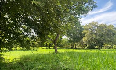 NUEVA GORGONA / AMPLIO UN TERRENO / VIA PRINCIPAL / 2007M2 / YH