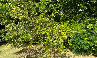 Venta Casa en Girardot