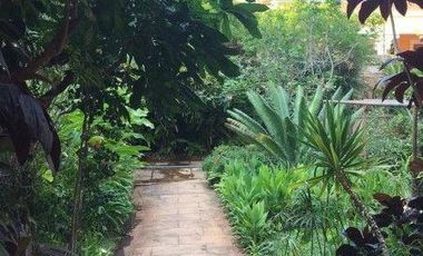 Vendo espectacular Casona en el Centro