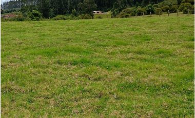 FINCA SE VENDE SOTAQUIR BOYAC